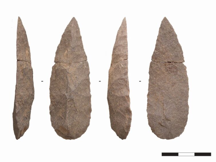 Forum Südliches Afrika, 16. Jänner 2025: Die Bedeutung Südafrikas für die kulturelle Entwicklung von Homo sapiens